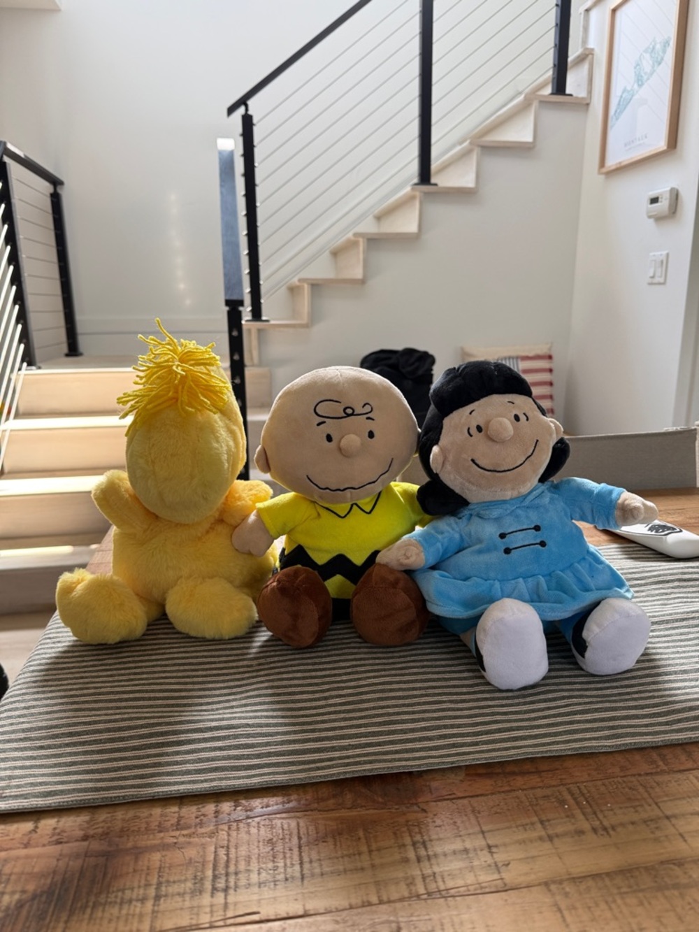 Charlie brown WARMIES bundle